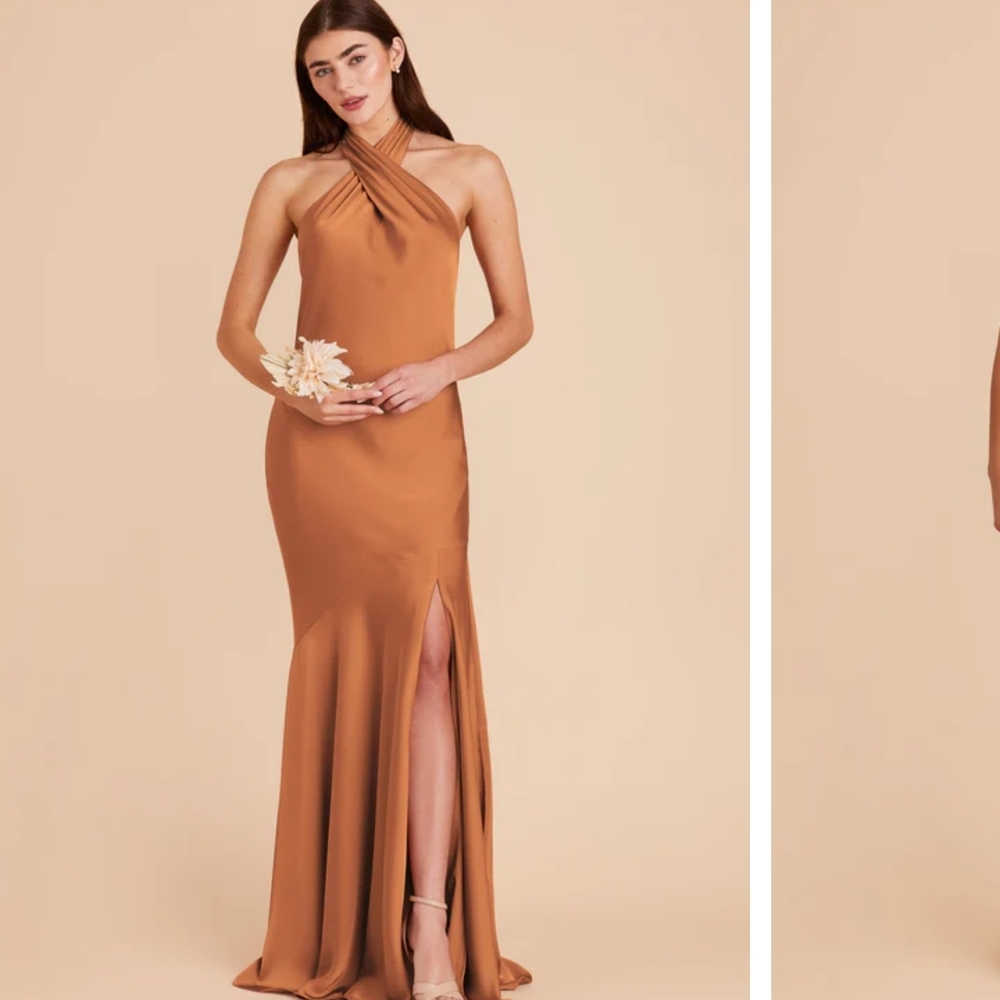 Birdy Grey Rust Dress - Picture 2 of 5